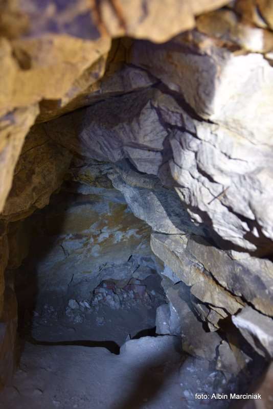 Zamek Janowiec wiosna 2019 foto Albin Marciniak 289