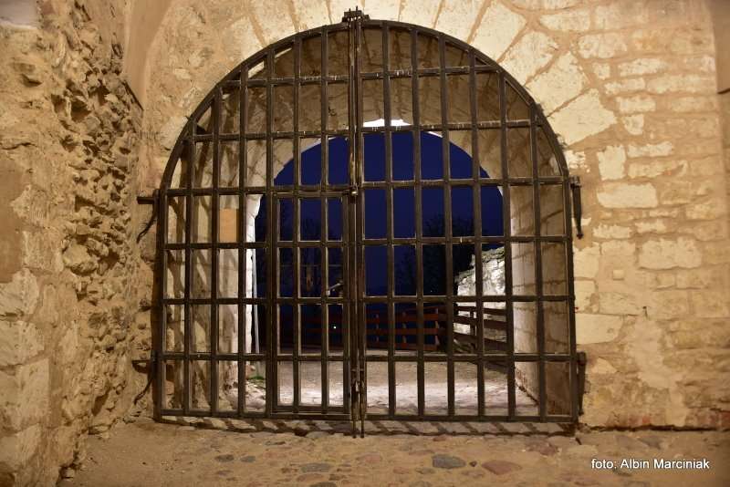 Zamek Janowiec wiosna 2019 foto Albin Marciniak 35