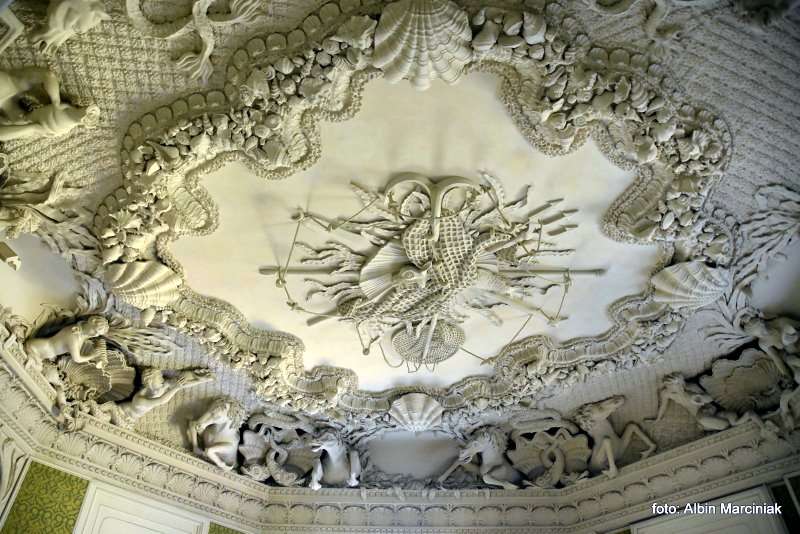 Zamek w Rydzynie wnetrza Wielkopolska 10