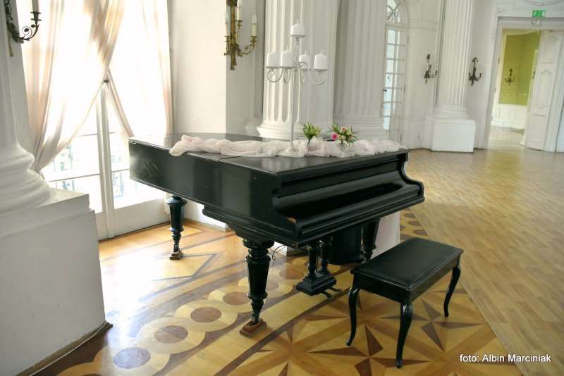 Zamek w Rydzynie wnetrza Wielkopolska 16