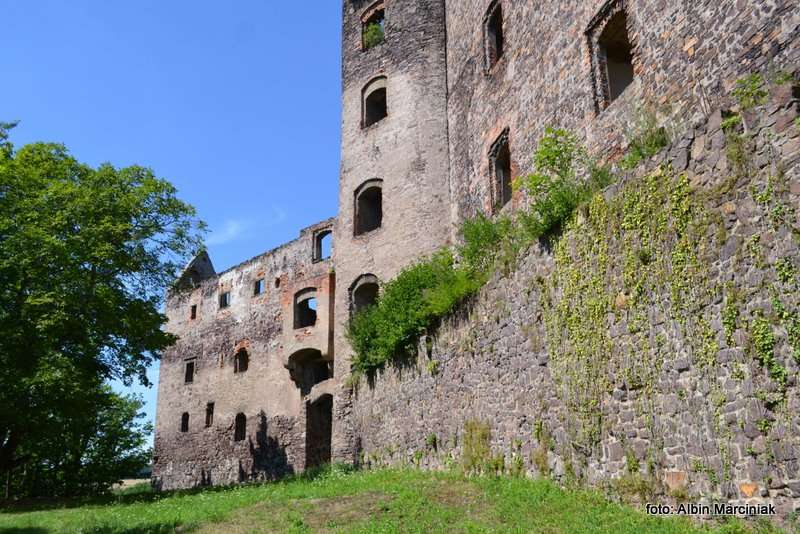 Zamek Swiny na Dolnym Slasku 25