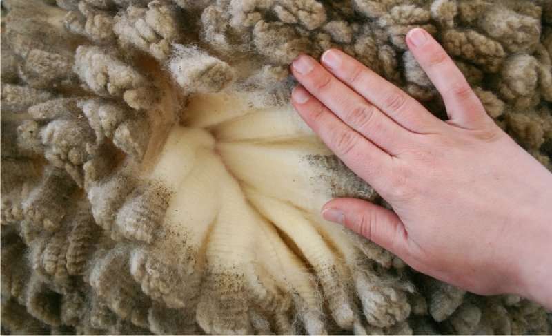 Ultra Tour Monte Rosa 2018.1