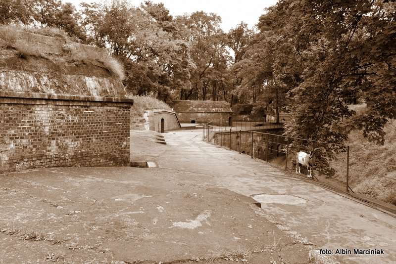 Fort Gerharda Swinoujscie foto Albin Marciniak 12