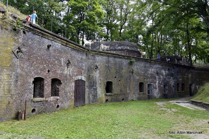 Fort Gerharda Swinoujscie foto Albin Marciniak 19