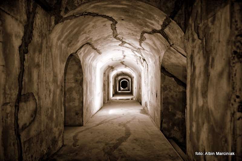 Fort pancerny 49a Dłubnia Twierdza Kraków 11