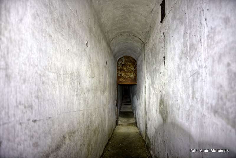 Fort pancerny 49a Dłubnia Twierdza Kraków 14