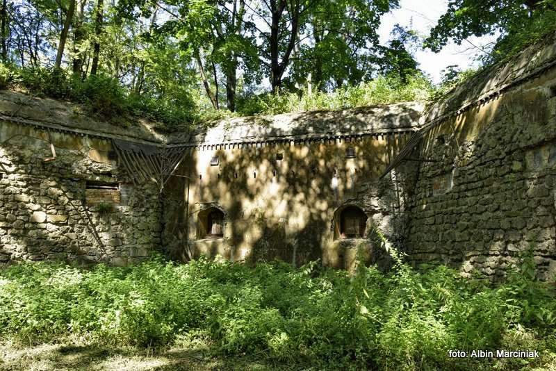 Fort pancerny 49a Dłubnia Twierdza Kraków 2