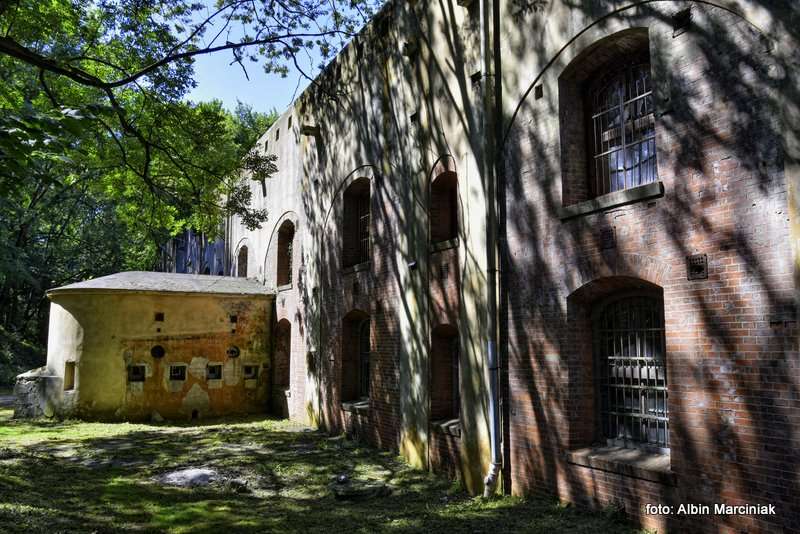 Fort pancerny 49a Dłubnia Twierdza Kraków 3