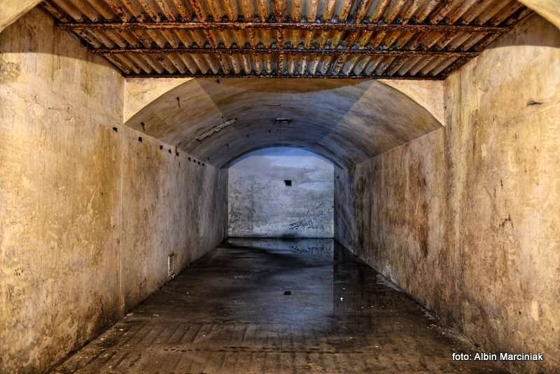 Fort pancerny 49a Dłubnia Twierdza Kraków 4