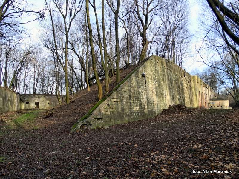 Fort pancerny 49a Dłubnia Twierdza Kraków 5