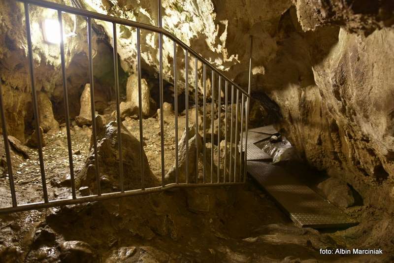 29 Jaskinia Mrozna 29