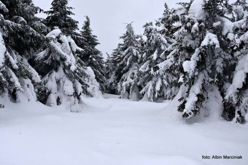 Karkonosze GSS zima 4