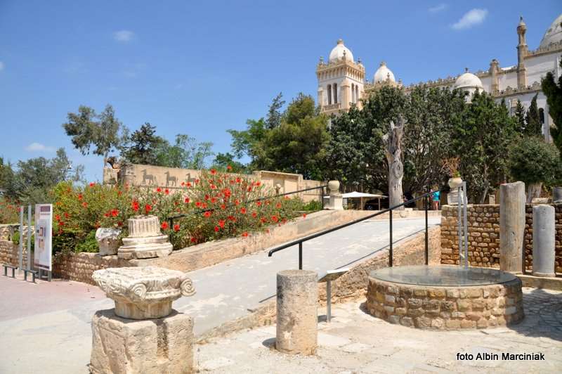 Kartagina Tunezja 35