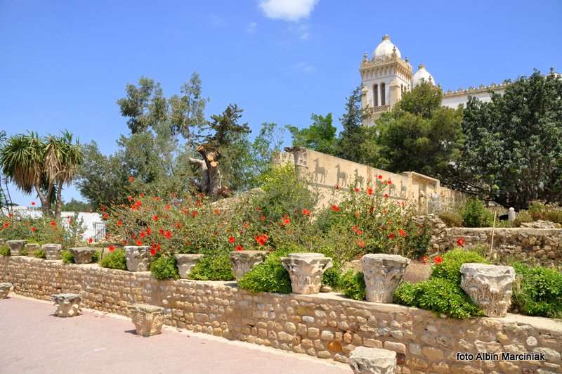 Kartagina Tunezja 38