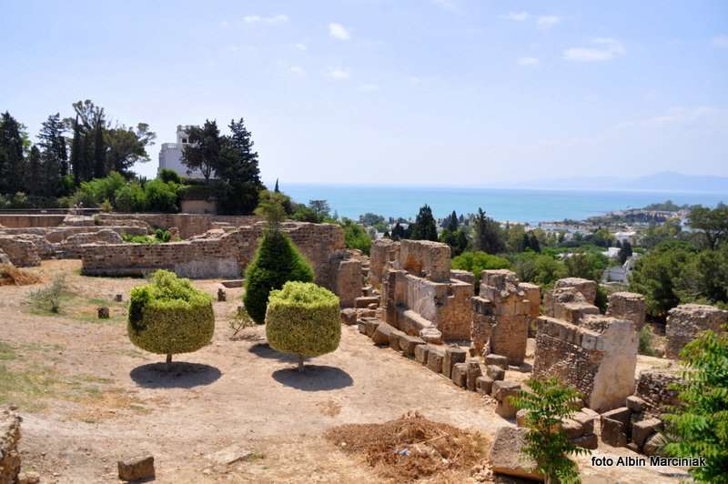 Kartagina Tunezja 8