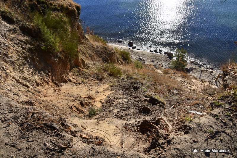 Klif Orłowski w Gdyni urwisko nad Bałtykiem 10