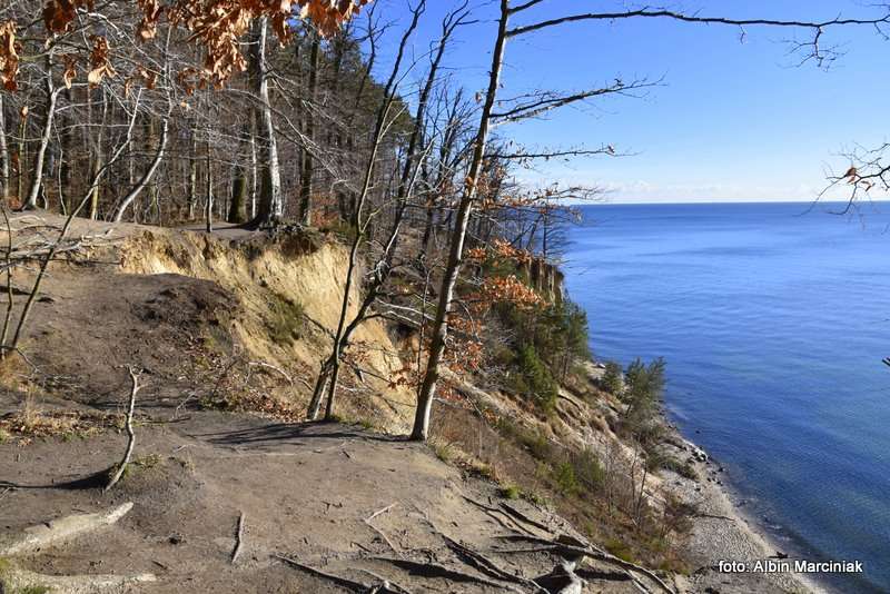Klif Orłowski w Gdyni urwisko nad Bałtykiem 4