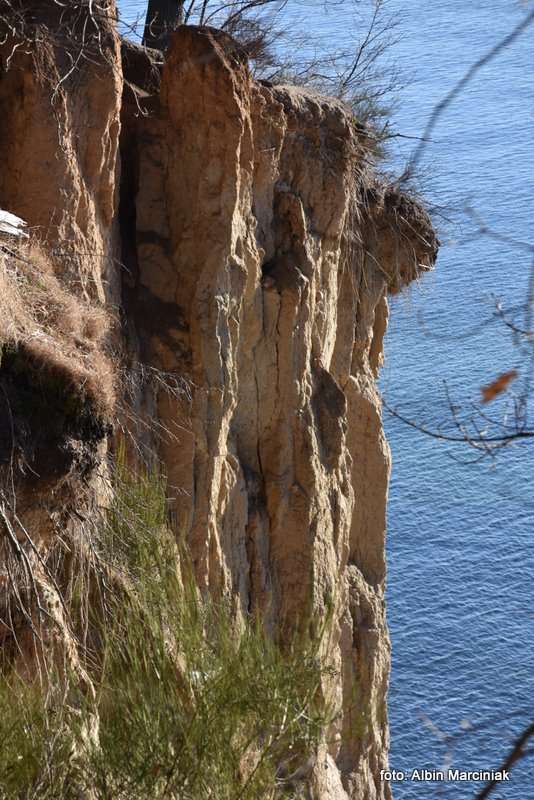 Klif Orłowski w Gdyni urwisko nad Bałtykiem 8