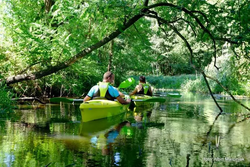 Milicz i Dolina Baryczy Stawy Milickie 13