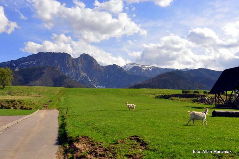 55 widok na Giewont 1