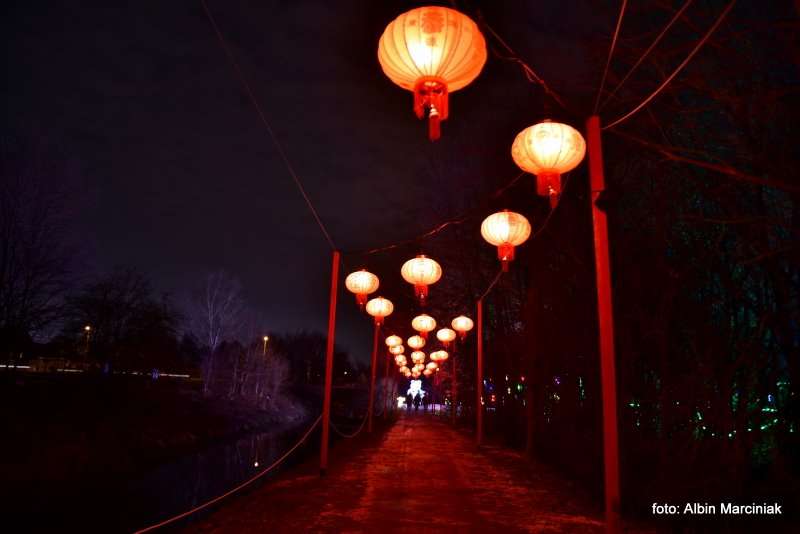 Ogrody Światła Magiczna Podróż w Zamku Topacz 15