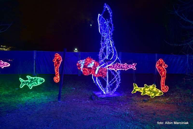 Ogrody Światła Magiczna Podróż w Zamku Topacz 20