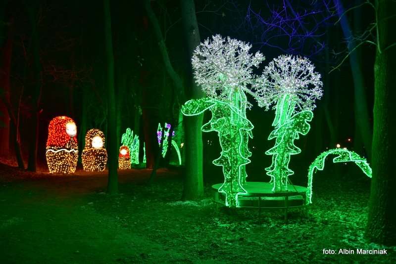 Ogrody Światła Magiczna Podróż w Zamku Topacz 21