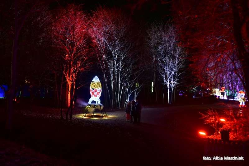 Ogrody Światła Magiczna Podróż w Zamku Topacz 5