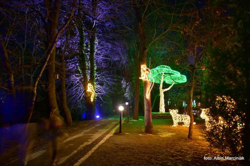 Ogrody Światła Magiczna Podróż w Zamku Topacz 9