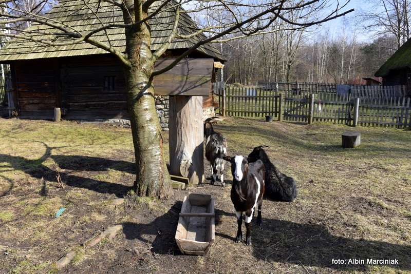 Muzeum Górnośląski Park Etnograficzny w Chorzowie 23