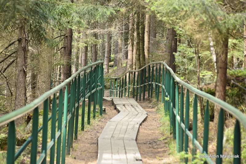 Szczeliniec Wielki 10