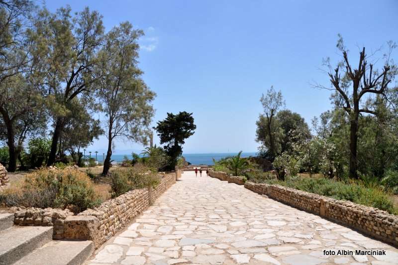 Termy Antoniusza w Tunezji Tunis 5