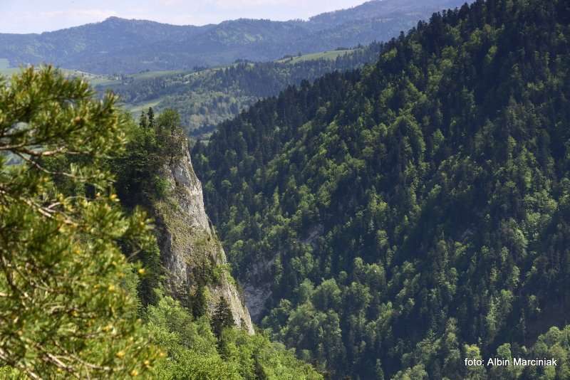 Pieniny Sokolica 12