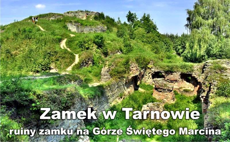 Zamek w Tarnowie ruiny