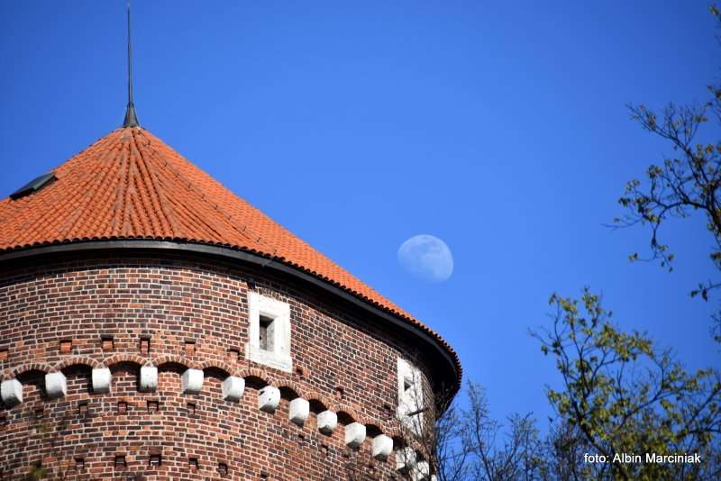 Baszta Sandomierska na Wawelu 45