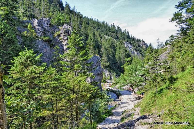 DSC_1149-HDR(1)-HDR(1)