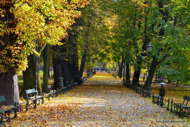 http://www.klubpodroznikow.com/images/stories/relacje/krakow_jesiennie/7145DSC_1206.JPG