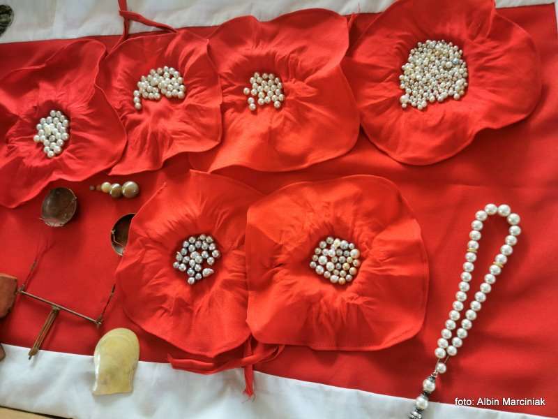 Farma Pereł w Ras al Khaimah w ZEA 25