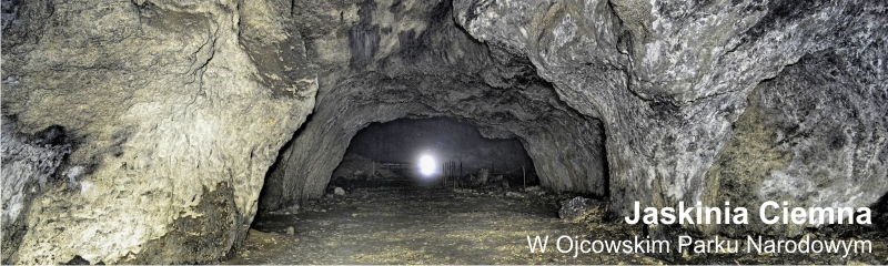Jaskinia Ciemna 